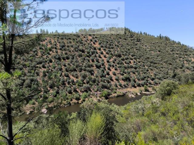 Castelo Branco Castelo Branco 97120328
