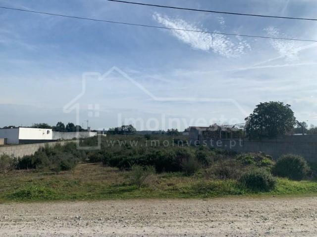 Castelo Branco Castelo Branco 97121240