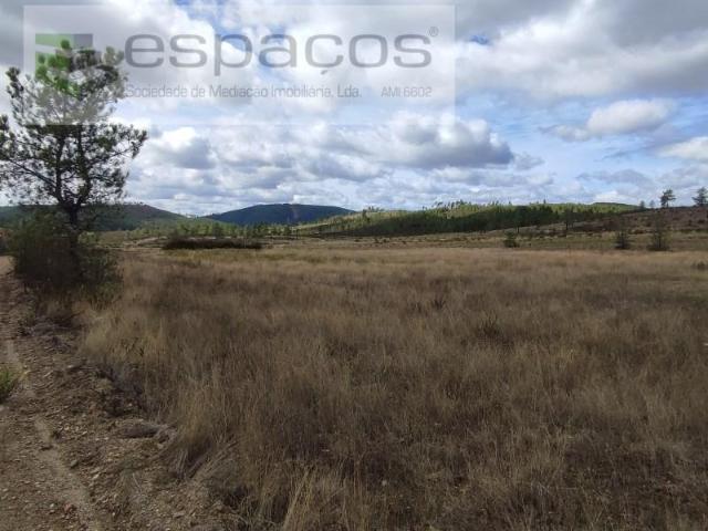 Castelo Branco Castelo Branco 97121827
