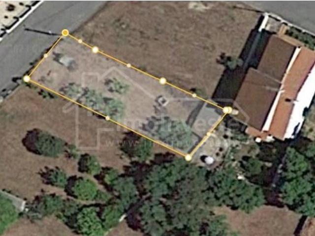 Castelo Branco Castelo Branco 97123453