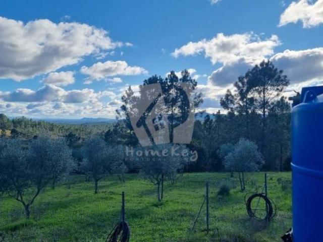 Castelo Branco Castelo Branco 98269497