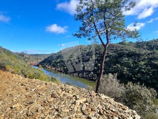 Castelo Branco Castelo Branco 98276599