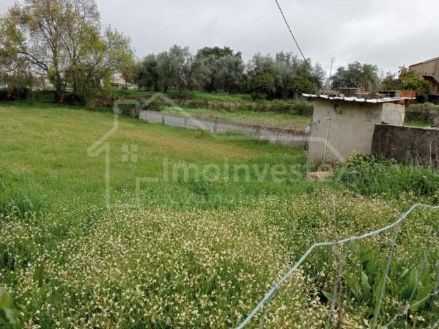 Castelo Branco Castelo Branco 98277474