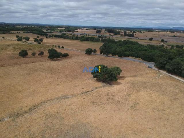 Castelo Branco Castelo Branco 98319945