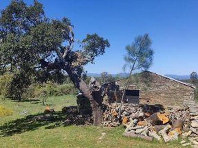 Castelo Branco Castelo Branco 98338046