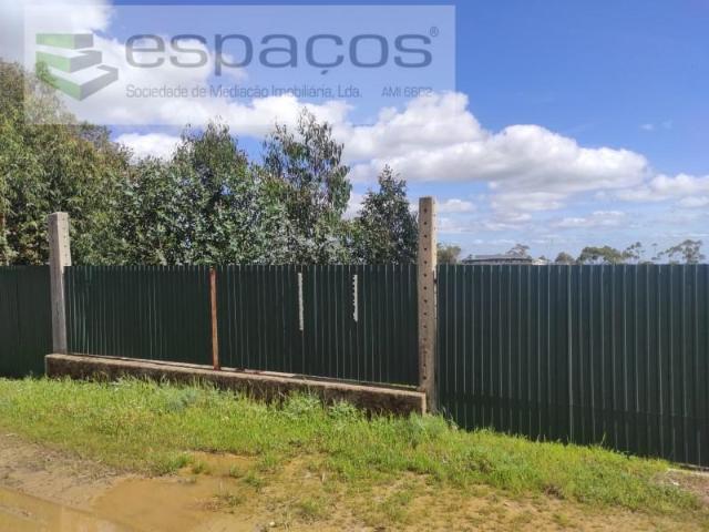 Castelo Branco Castelo Branco 98614941