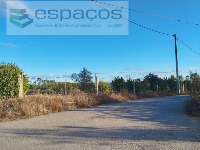 Castelo Branco Castelo Branco 98794647