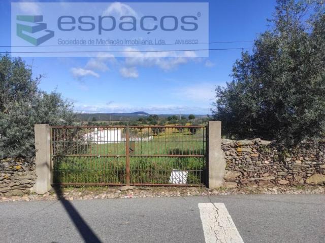 Castelo Branco Castelo Branco 99201560