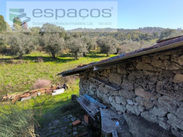 Castelo Branco Castelo Branco 99343330