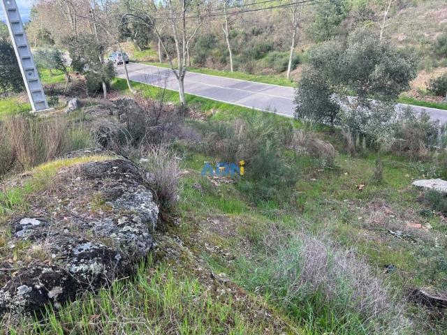 Castelo Branco Castelo Branco 99564012
