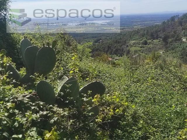 Castelo Branco Castelo Branco 99522773