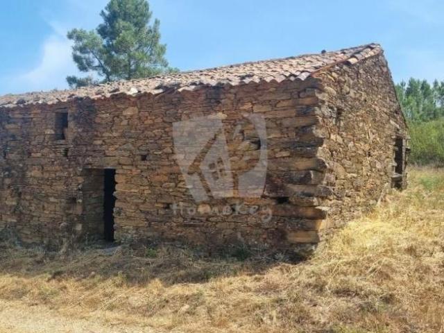 Castelo Branco Castelo Branco 99708617