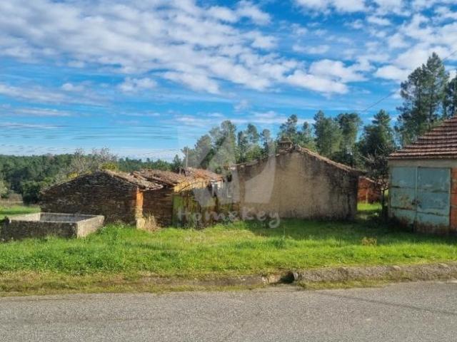 Castelo Branco Castelo Branco 99708626