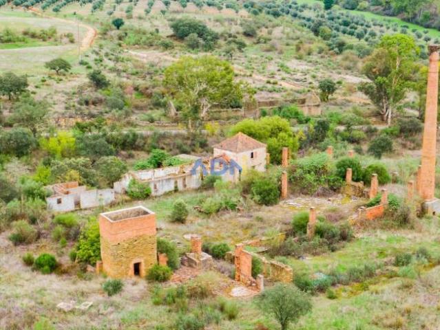 Castelo Branco Castelo Branco 99727388