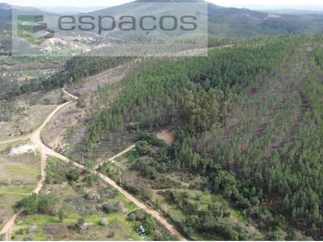 Castelo Branco Castelo Branco 100126901
