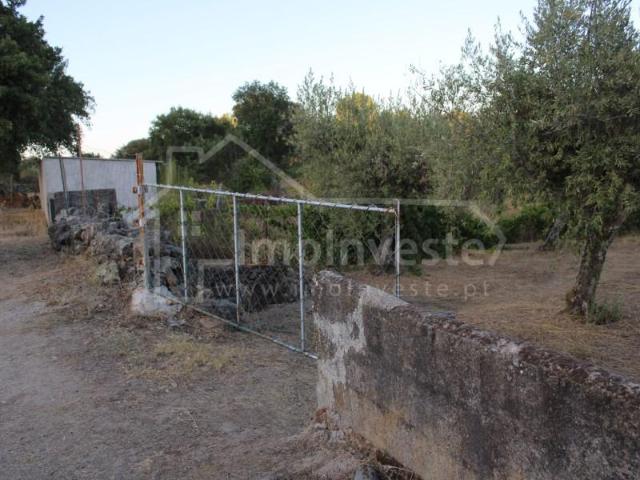 Castelo Branco Castelo Branco 101712085