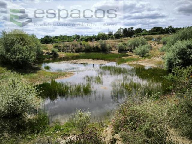 Castelo Branco Castelo Branco 102558525