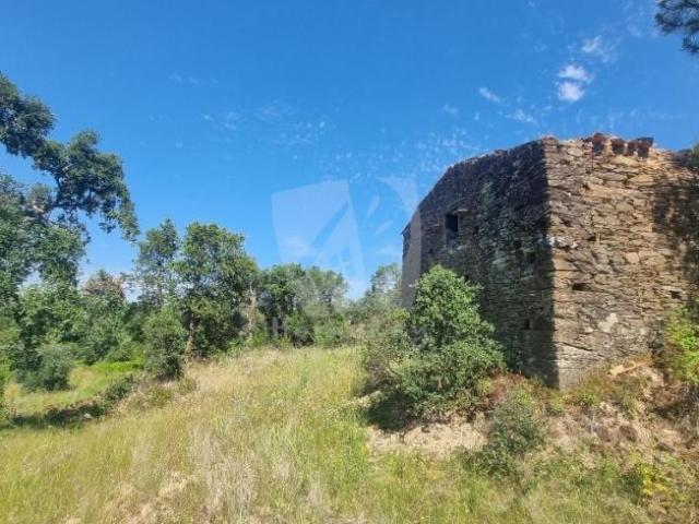 Castelo Branco Castelo Branco 102703692