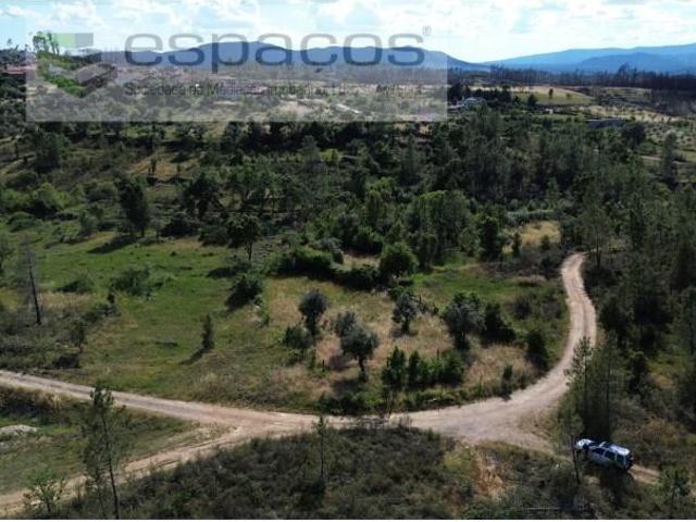 Castelo Branco Castelo Branco 102723242