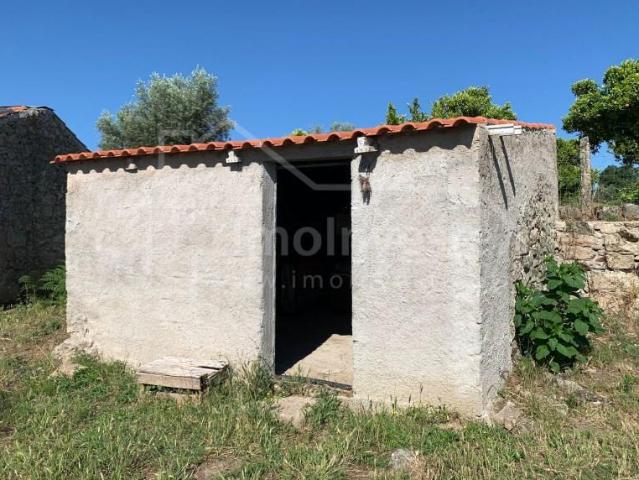 Castelo Branco Castelo Branco 102763477