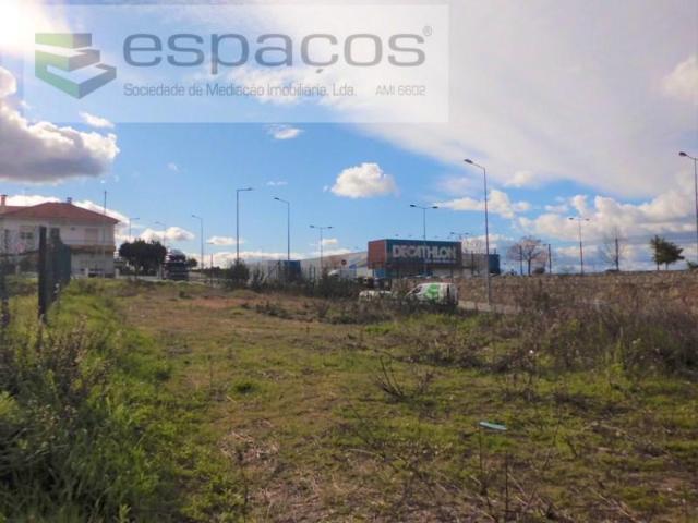 Castelo Branco Castelo Branco 102899380