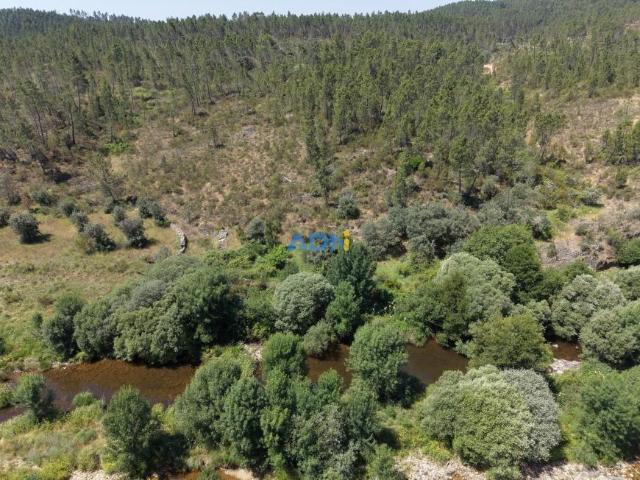 Castelo Branco Castelo Branco 102953024