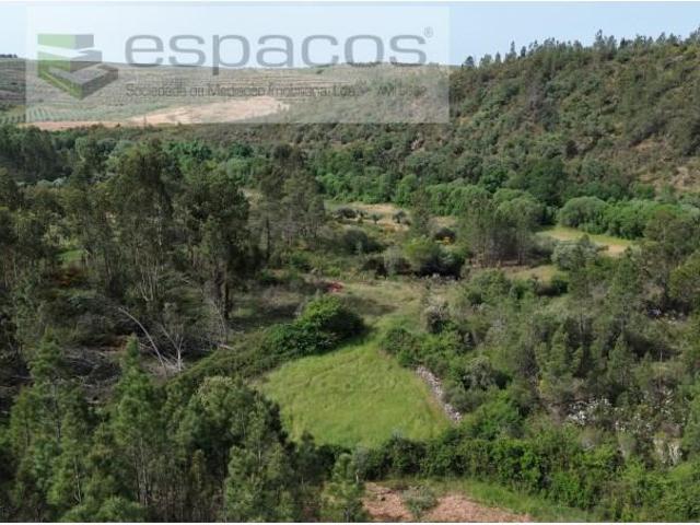 Castelo Branco Castelo Branco 102348993