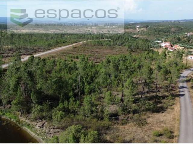 Castelo Branco Castelo Branco 103493184
