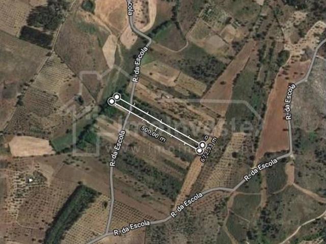 Castelo Branco Castelo Branco 103609775