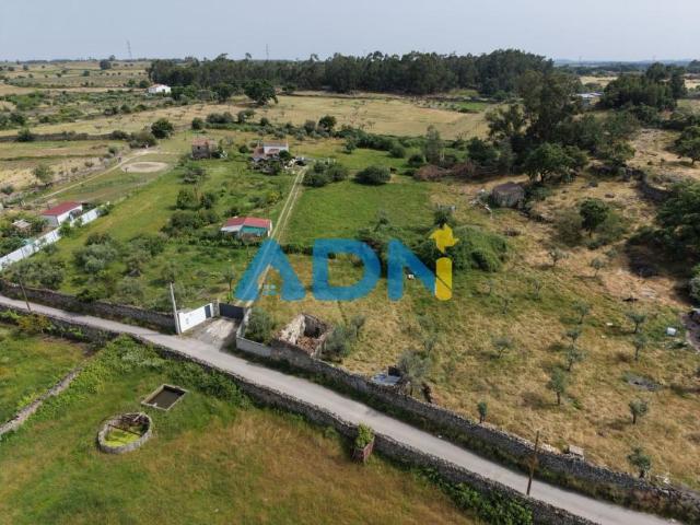 Castelo Branco Castelo Branco 103696081