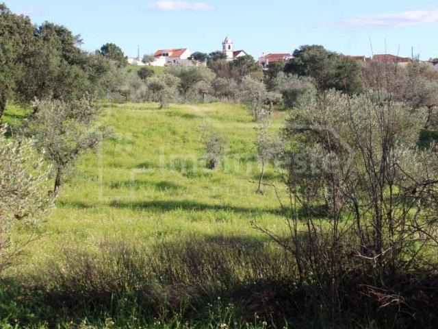 Castelo Branco Castelo Branco 103821301