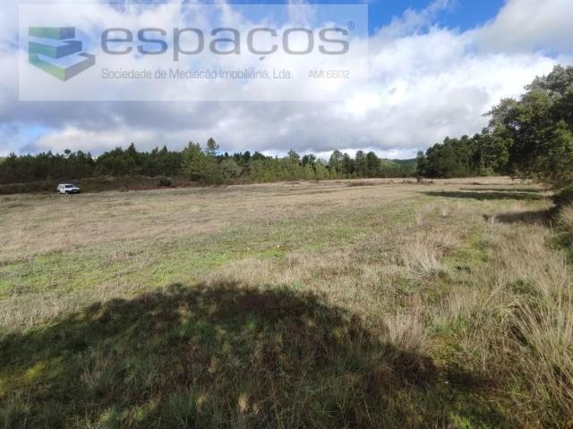 Castelo Branco Castelo Branco 103047441