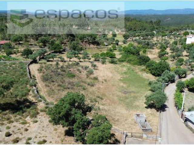 Castelo Branco Castelo Branco 103096785