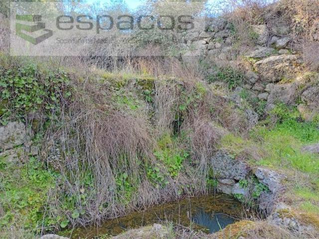 Castelo Branco Castelo Branco 103328444