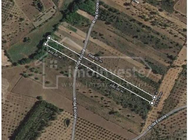 Castelo Branco Castelo Branco 103378887