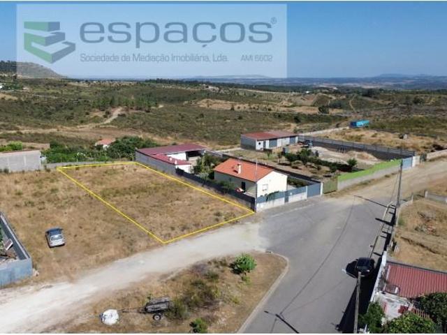 Castelo Branco Castelo Branco 104476846