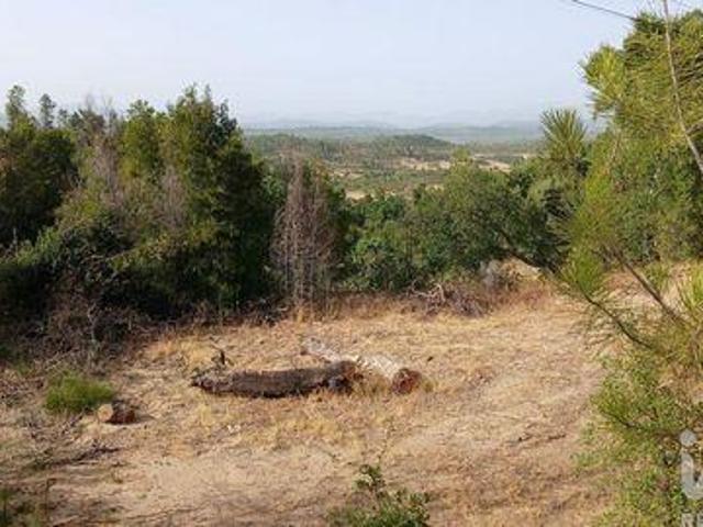 Castelo Branco Castelo Branco 104977538