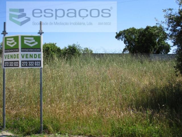 Castelo Branco Castelo Branco 104385988