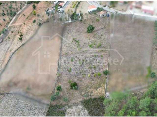 Castelo Branco Castelo Branco LS102301190