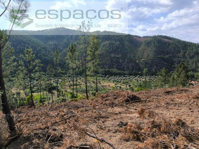 Castelo Branco Castelo Branco LS102586988