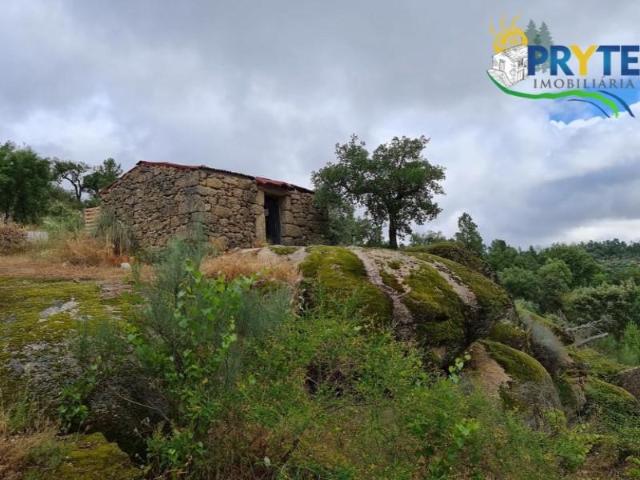 Castelo Branco Castelo Branco LS102689268