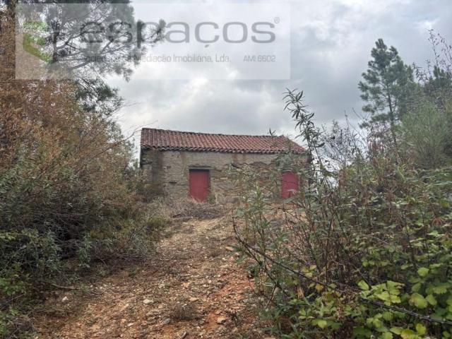 Castelo Branco Castelo Branco LS102723243