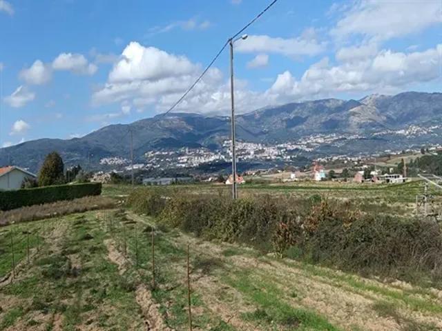Castelo Branco Covilhã 103540816