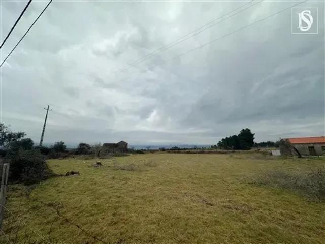Castelo Branco Fundão 104327341