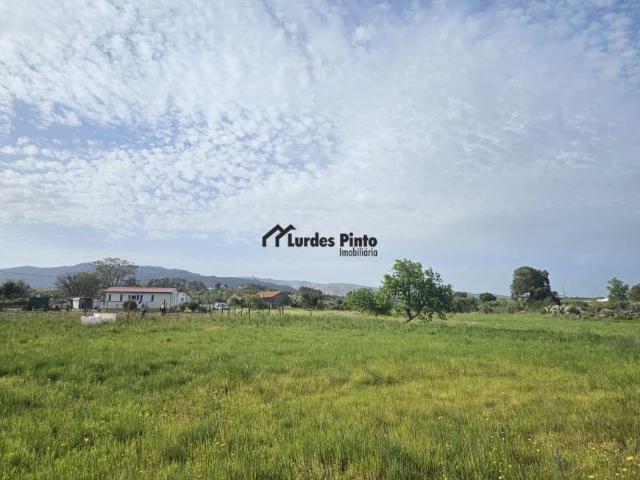 Castelo Branco Fundão 6005 LS102467788