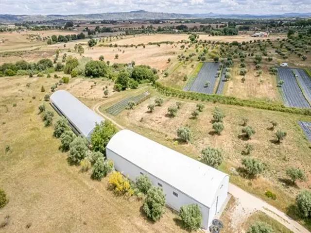Castelo Branco Idanha a Nova 103540800