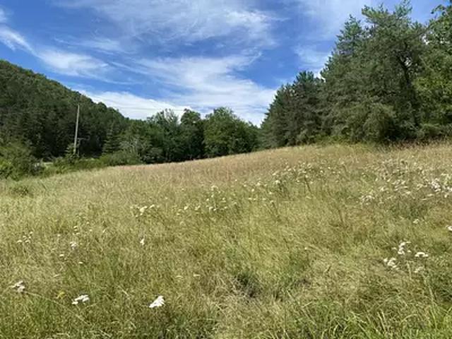 Castels et Bézenac 24220 Programme neuf terrain neuf à vendre