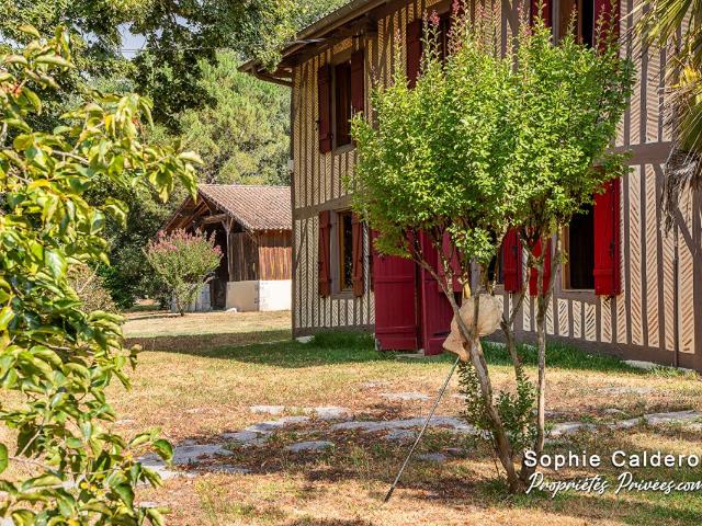 Castets Vente Maison 40