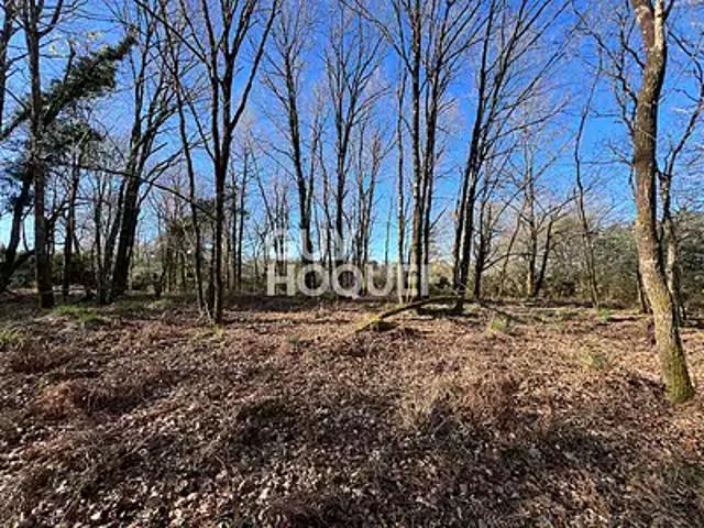 Castets 40260 Achat / Vente terrain