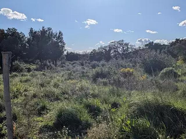 Castillon du Gard 30210 Achat / Vente terrain